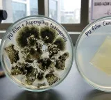 Miracle in Pakistan landfill discovery of plastic eating fungus