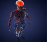 Human Lifespan can reach 200 years according to new scientific theory