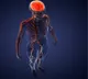 Human Lifespan can reach 200 years according to new scientific theory