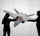 India moves to join France-led FCAS sixth-generation fighter programme: Report