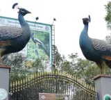 KBR Park one way traffic from August 18
