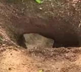 Panjagutta Graveyard Sensation Infant Body Disappears After Burial