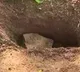 Panjagutta Graveyard Sensation Infant Body Disappears After Burial