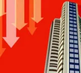 Nifty 50 falls below 24500 as selling pressure hits stock market