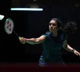Sindhu supports 'efforts' to tackle monkey menace at World Championship venue