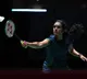 Sindhu supports 'efforts' to tackle monkey menace at World Championship venue