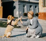 Dogs can read emotions like happiness fear and anger on your face