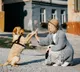 Dogs can read emotions like happiness fear and anger on your face