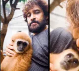 Chiyaan Vikram in trouble over fun video with rare monkey
