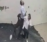 Pitbull attack on couple while looking for rental house CCTV visuals recorded