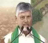 Chandrababu Naidu turns emotional during Seed Access Road and Steel Bridge inauguration