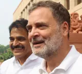 Rahul Gandhi moves SC against Allahabad HC order on disproportionate assets allegations