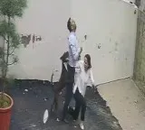 Couple attacked by pitbull while viewing rental home in Punjab, video emerges