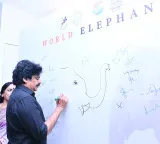 'Kumki' elephants reduced human fatalities in Andhra Pradesh by 70 pc: Pawan Kalyan