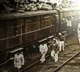 Partition Horrors Three Unforgettable Great Tragedies