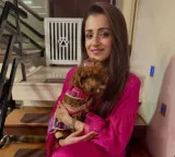 Trisha Krishnan net worth and luxury houses in Chennai and Hyderabad