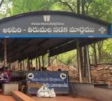 Strict action against person who smoked on Alipiri walking path