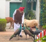 Special, as always: PM Modi shares heartwarming daily routine with 'friends'