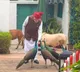 Special, as always: PM Modi shares heartwarming daily routine with 'friends'