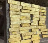 Belgium Gold Treasure Worth 98 Crores Found During Drainage Work