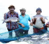 Indian Fisheries Sector boosts Blue Economy and provides employment to 3 crore people