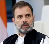 Rahul Gandhi assets case Supreme Court questions Centre stays Lucknow High Court order