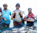 India world’s 2nd-largest fish producer, contributes 8 pc to global output