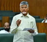 Chandrababu Naidu historic announcement in Assembly supporting BCs from Panchayat to Parliament