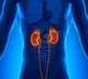 Kidneys 6 habits that can slowly damage your renal health