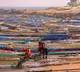 Eight Andhra fishermen missing in Bay of Bengal
