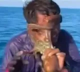 Octopus wraps around fisherman face viral video