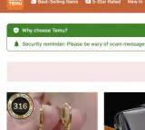 Temu matches Amazon in global e-commerce sensation