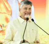 Chandrababu Naidu to attend Southern Zonal Council meeting