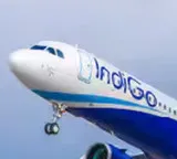 IndiGo website disrupted again bookings hit