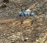 TTD introduces Robo Dog in Tirumala forests for devotee safety