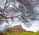 Ancient tunnel discovered near Golconda Fort
