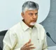 Chandrababu Naidu asks whose fault if ranker fails certificate verification