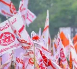 Janasena committee with Ministers and MPs targeting local body elections