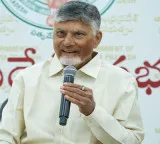 Chandrababu Naidu to inaugurate Veligonda Project Phase 1 on August 31