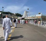 Tirumala Balaji Darshan wait time drops to 8 hours