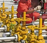 Centre asks states to help in speeding up switch from LPG to PNG by households