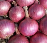 Rising onion prices Central Government decides to run Kanda Express trains