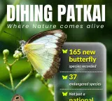 Himanta Biswa Sarma highlights 165 butterfly species and biodiversity in Dehing Patkai
