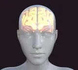 BrainCAB Scientists Discover New Way to Deliver Drugs to the Brain
