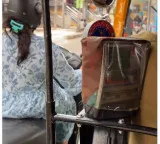 Bengaluru Auto Driver wins hearts with act of kindness toward woman on broken scooter