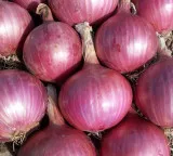 Central Government offers onions at 35 per kg claiming no shortage in country