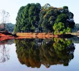 Jharkhand Forest Department to protect 3 lakh trees with Raksha Bandhan campaign