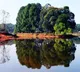 Jharkhand Forest Department to protect 3 lakh trees with Raksha Bandhan campaign