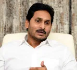 YS Jagan Mohan Reddy expresses shock over Palnadu road accident
