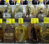 Snake Wine why do they put snakes in alcohol and the story behind this strange drink